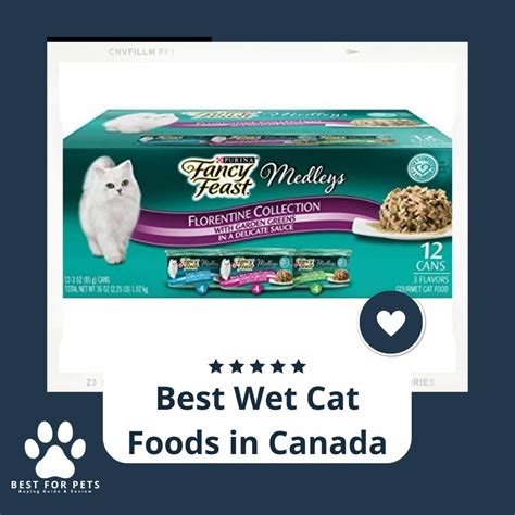Wet Food 11 (2023) .